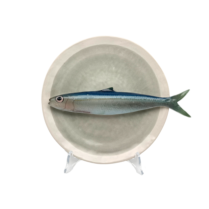 Alaccia/Haring op grijsgroen bord met lichte rand, 21 cm