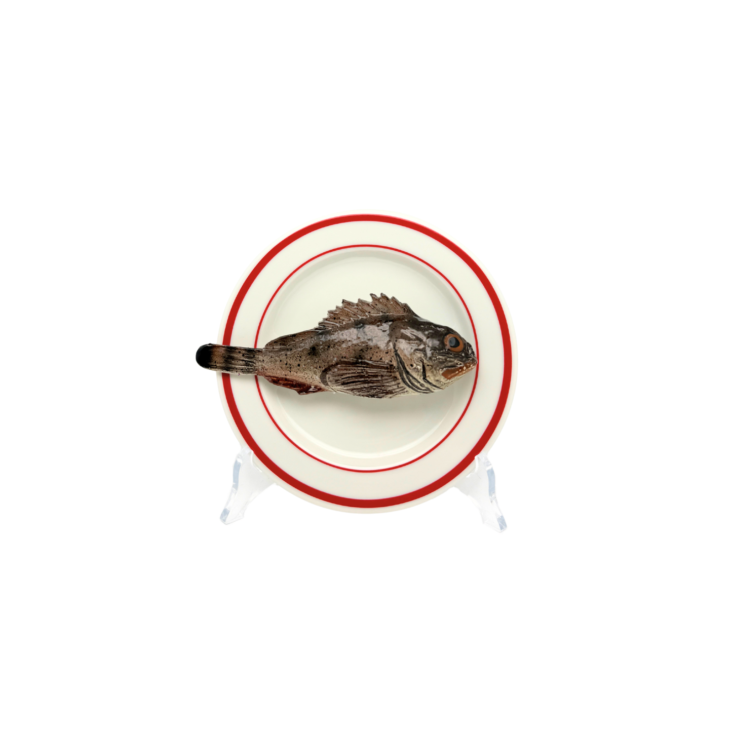 Scorfano Marrone op wit bord met dubbele rode rand, bord 15 cm