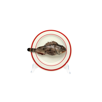 Scorfano Marrone op wit bord met dubbele rode rand, bord 15 cm