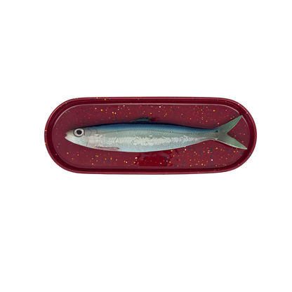 Alaccia/Haring op langwerpig ovaal burgundy, spikkel bord, 28x10cm