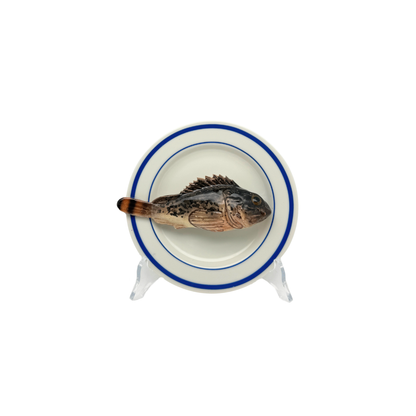 Scorfano Marrone op wit bord met dubbele blauwe rand, bord 15 cm