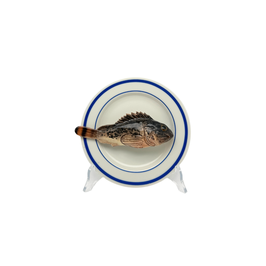 Scorfano Marrone op wit bord met dubbele blauwe rand, bord 15 cm