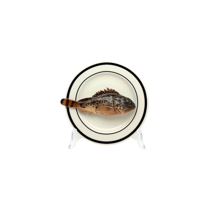 Scorfano Marrone op wit bord met dubbele zwarte rand, bord 15 cm