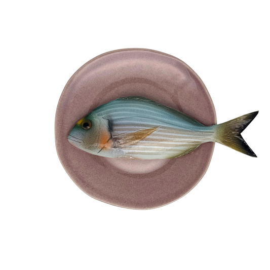 Orata op lila bord, 22 cm rond