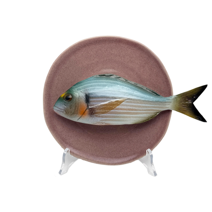 Orata op lila bord, 22 cm rond