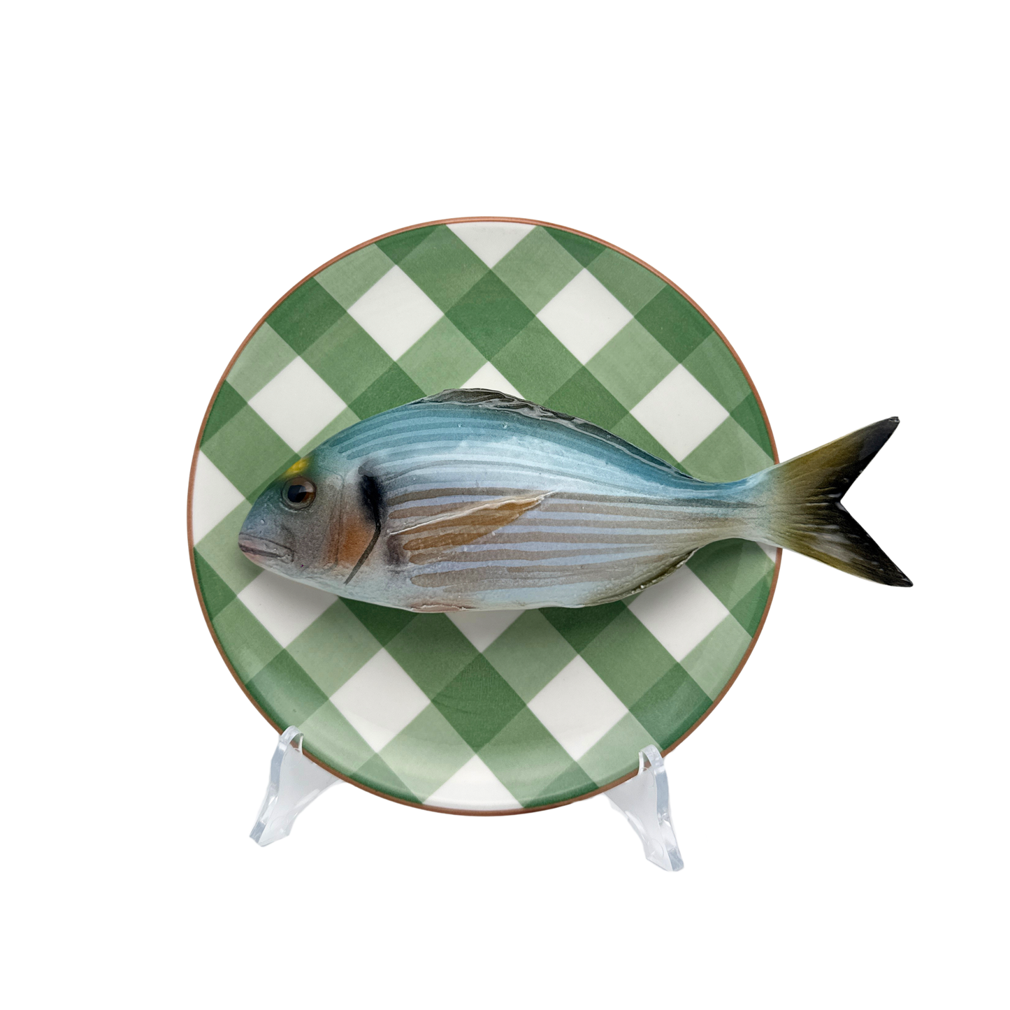 Orata op olijfgroen geruit bord, 20 cm rond