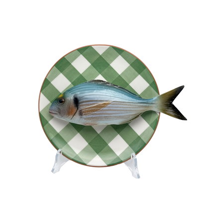 Orata op olijfgroen geruit bord, 20 cm rond