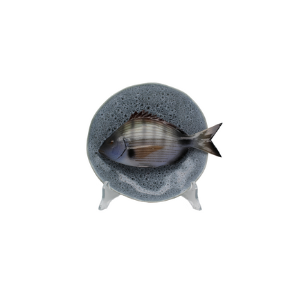 Sarago medio op blauw/grijs bewerkt bordje, 15 cm