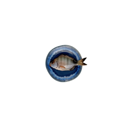 Sarago piccolo op oceaanblauw bord met lichte rand, 12 cm doorsnee