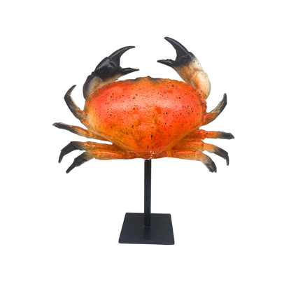 Kunst KRAB large op standaard (polymeer) 34x34 cm