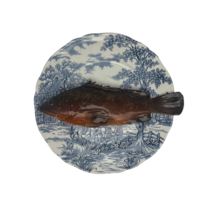 Cernia medio op een donker bauw vintage bord, 25 cm rond