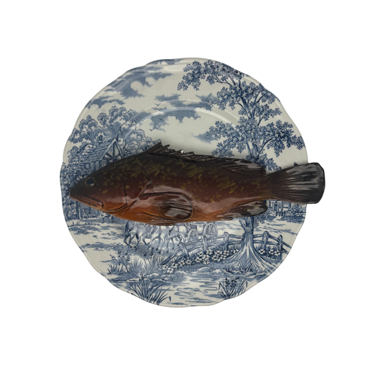 Cernia medio op een donker bauw vintage bord, 25 cm rond