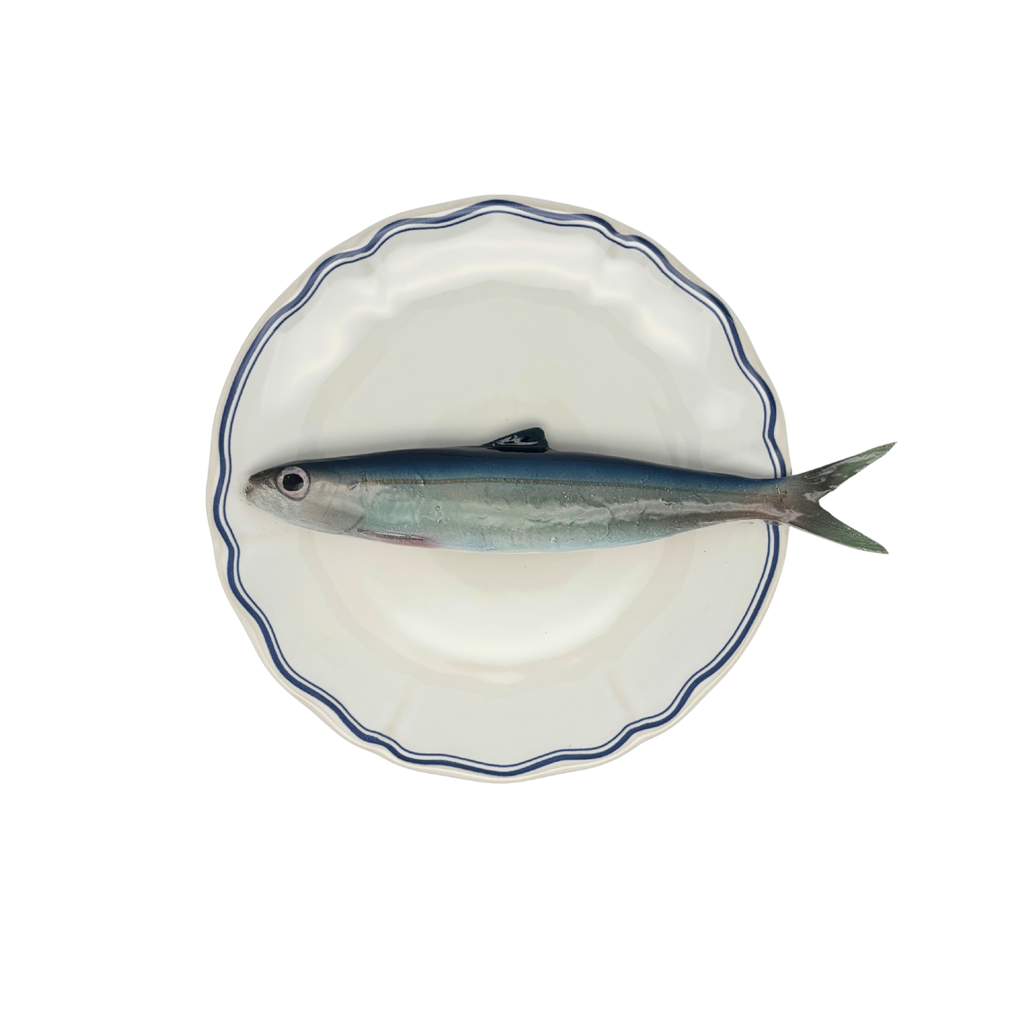 Alaccia/Haring  op wit bord met blauwe geschulpte rand 21 cm (kopie)