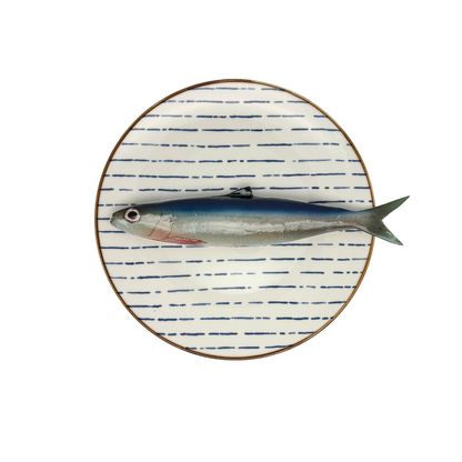 Alaccia/Haring op blauw gestreept bord,  22cm rond