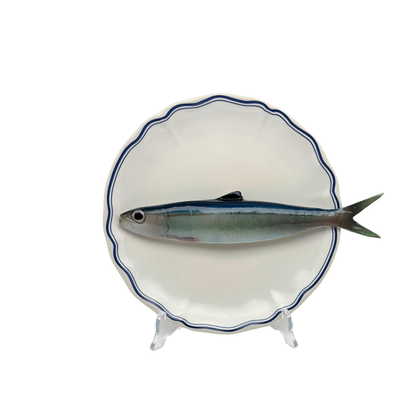Alaccia/Haring  op wit bord met blauwe geschulpte rand 21 cm (kopie)