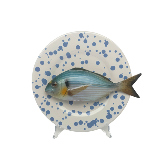 Orata op wit met blauwe verfspatten bord, 22 cm