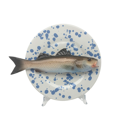 Spigola op wit met blauw verfspatten bord, 22 cm
