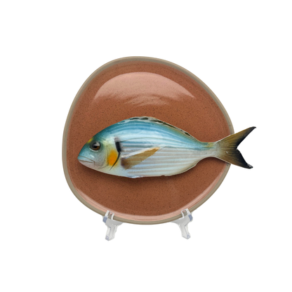 Orata medio op brique organische vorm bord, 20cm