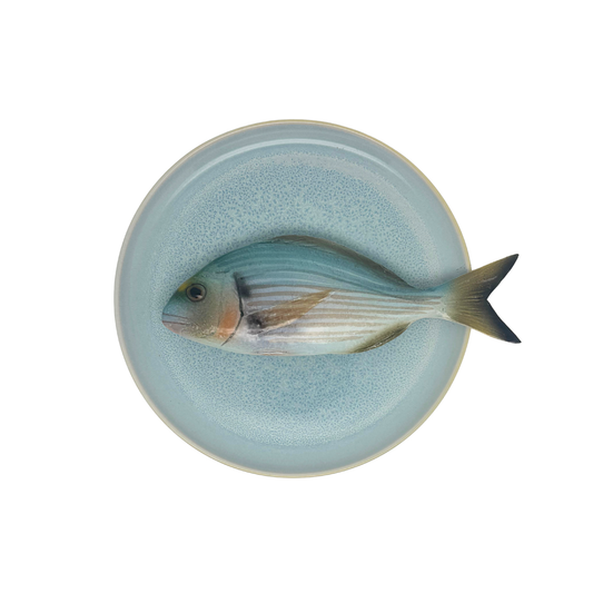 Orata op licht blauw bord, 21cm