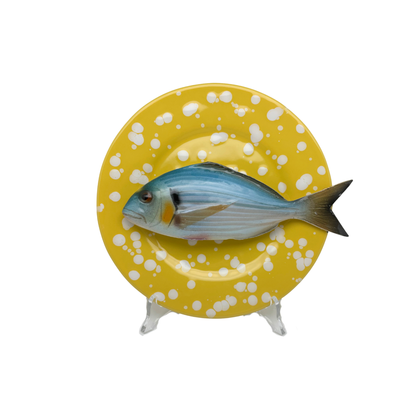 Orata op okergeel met witte verfspatten bord, 22 cm