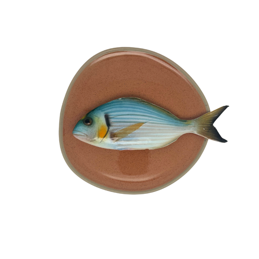 Orata medio op brique organische vorm bord, 20cm