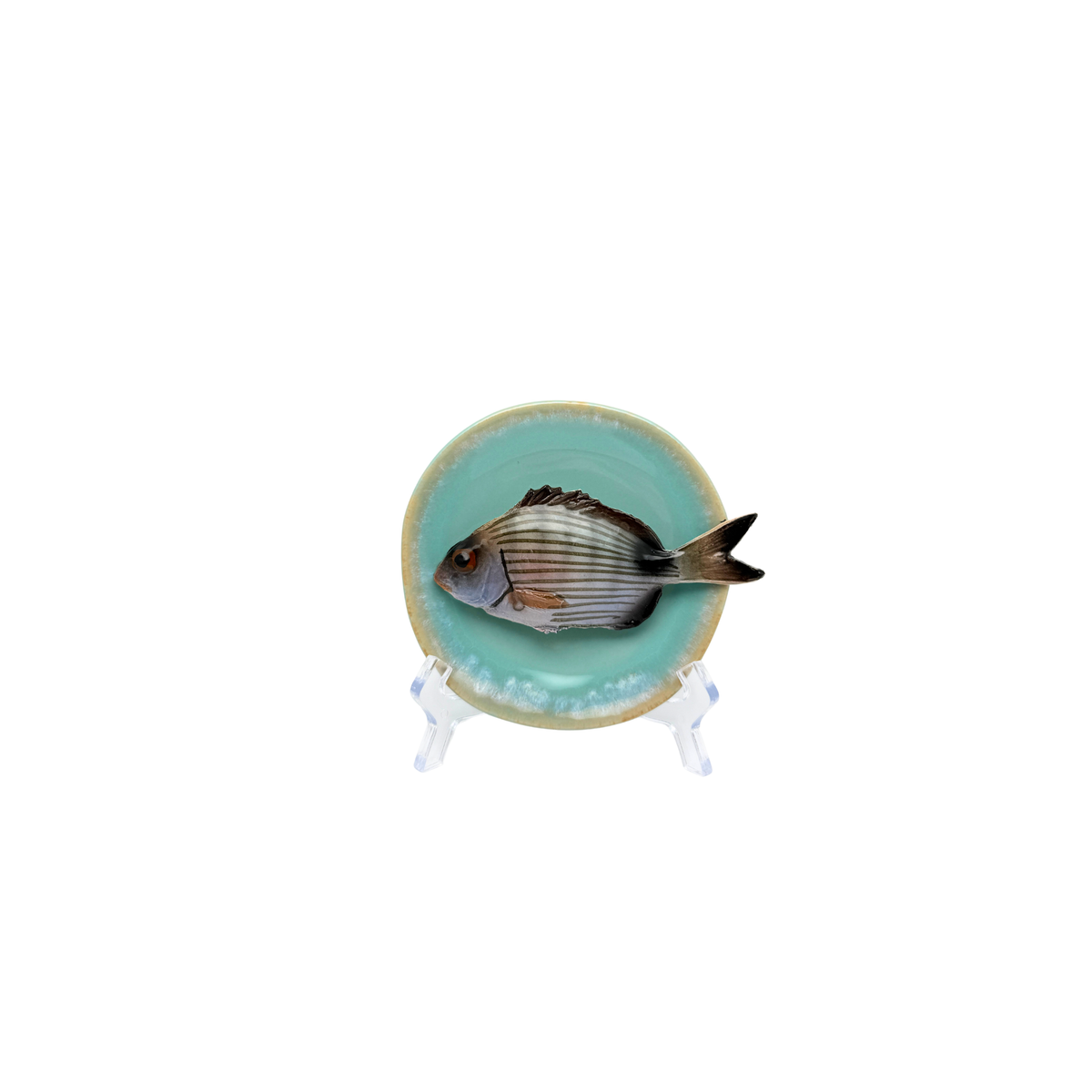 Sarago piccolo op mint turquoise bord met lichte rand, 12 cm doorsnee