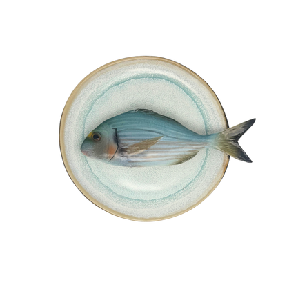 Orata op licht aqua blauw handgemaakt en beschilderd bord, 20cm