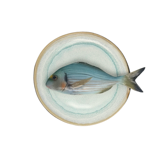 Orata op licht aqua blauw handgemaakt en beschilderd bord, 20cm
