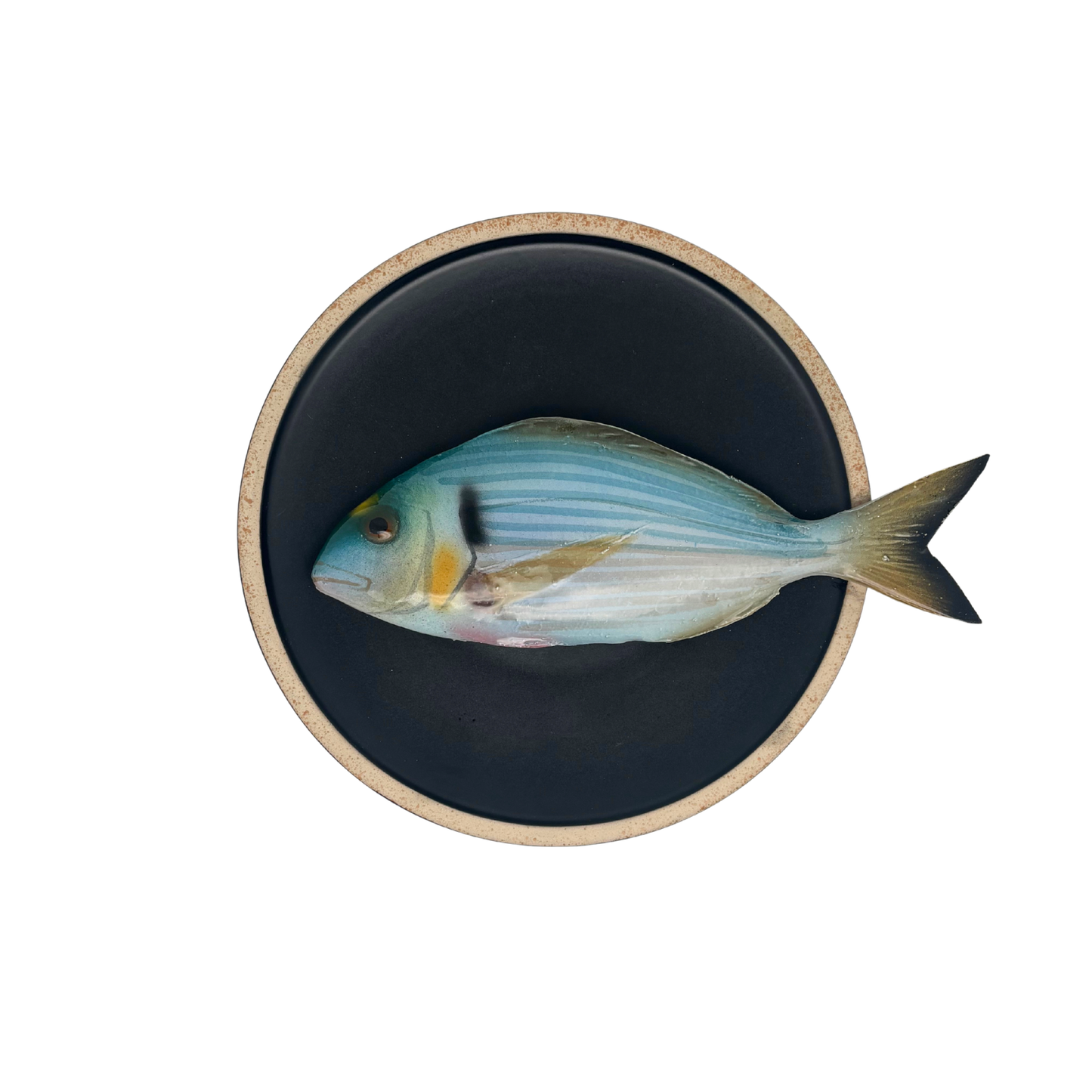 Orata op mat zwart bord met lichte rand, 20 cm