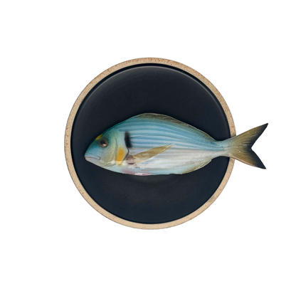 Orata op mat zwart bord met lichte rand, 20 cm