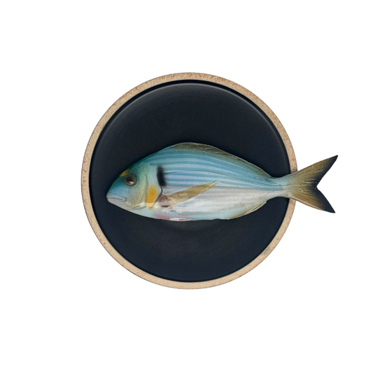 Orata op mat zwart bord met lichte rand, 20 cm