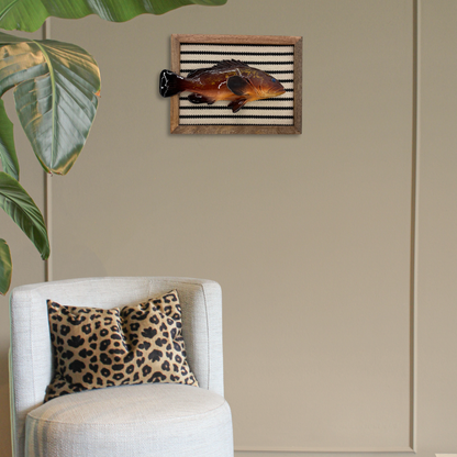 Cernia multo grande in een gestoffeerd houten lijst streep, 40X31cm