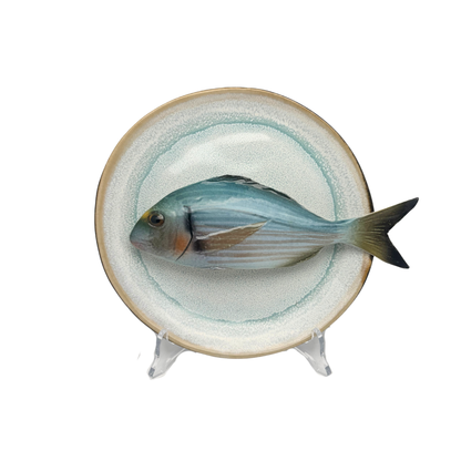Orata op licht aqua blauw handgemaakt en beschilderd bord, 20cm