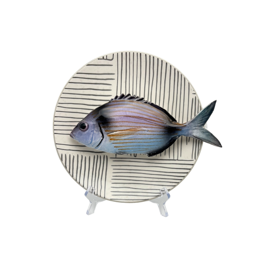 Viatora op bord met grijze streep decoratie, 20 cm