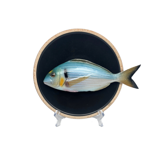 Orata op mat zwart bord met lichte rand, 20 cm