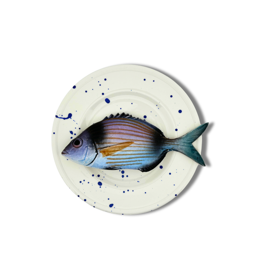 Viatora op wit bord met blauwe verfspetters, 21 cm rond.