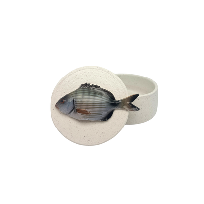 Sarago piccolo - Decoratief keramiek potje met deksel, 11,5 cm rond, handgemaakt