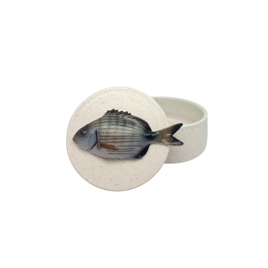 Sarago piccolo - Decoratief keramiek potje met deksel, 11,5 cm rond, handgemaakt
