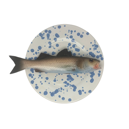 Spigola op wit met blauw verfspatten bord, 22 cm