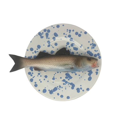 Spigola op wit met blauw verfspatten bord, 22 cm