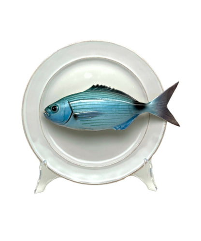 Occhiata op wit/crème bord met rand, 24 cm