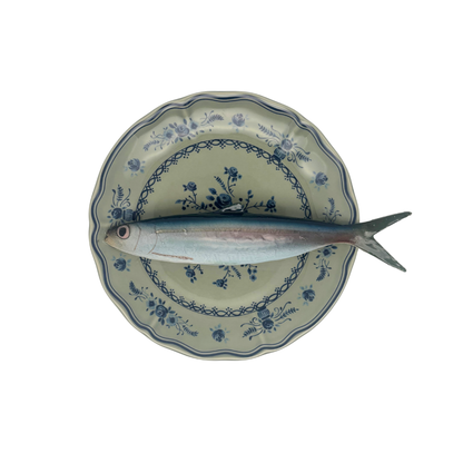 Alaccia/Haring op olijfgroen bord met blauwe decoratie 21 cm