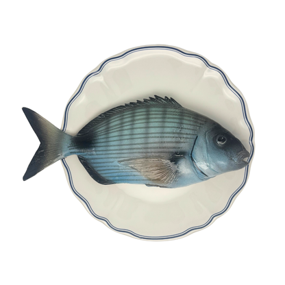 Sarago Grande op wit bord met blauwe geschulpte rand 27 cm