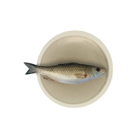 Spigola medio op zandkleurig bord met lichte rand, 15 cm